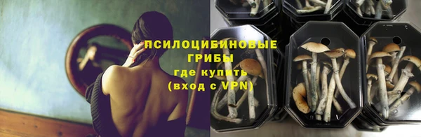 spice Покровск
