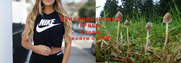 кокаин перу Покачи