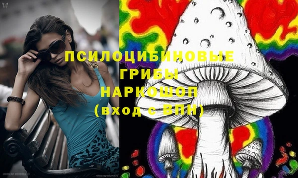 spice Покровск