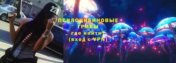а пвп мука Гатчина
