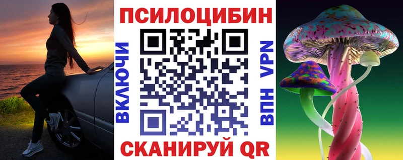 Галлюциногенные грибы Psilocybe  Черепаново 